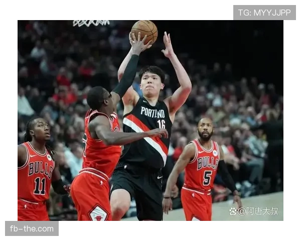 武切维奇内线单打提升球队篮板率，拉开队内高效二人组差距